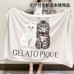 新品 ジェラートピケ ツインキャットジャガードブランケット 毛布