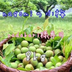NAGOMIの小梅『yadokari』8kg NAGOMIの小梅『yadokari様専用』8kg - メルカリ
