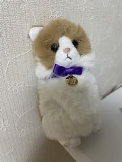 藤原樹マースのサムネイル