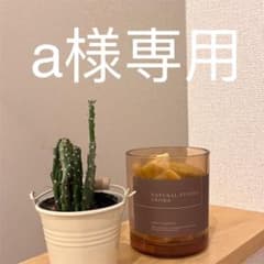 KASTANE SETUP BIGベストのサムネイル
