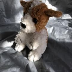 犬のぬいぐるみ 茶色と白のワンチャン - メルカリ