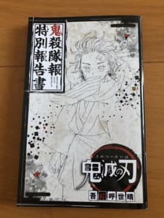 鬼滅の刃 22巻 鬼殺隊報特別報告書のサムネイル