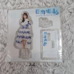 日向坂46 小坂菜緒 アクリルスタンド ローソン - メルカリ