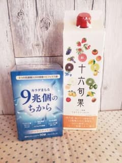 富士薬品 【フルーツ酵素 十六旬果】【9兆個のちから】プロラクティスα