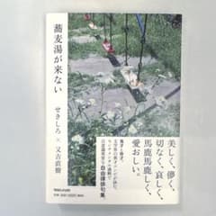 美品・帯付き】自由律俳句集 蕎麦湯が来ない せきしろ 又吉直樹 - メルカリ