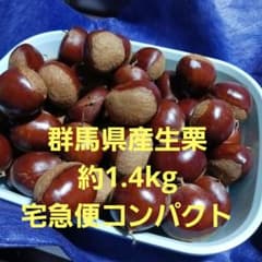群馬県産 生栗 約1.4kgNo.4のサムネイル