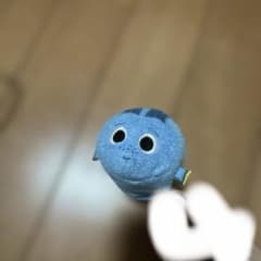 툼툼 봉제인형 돌리 파인딩 니모