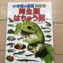 小学館の図鑑NEO〔新版〕 両生類・はちゅう類 DVDつきのサムネイル