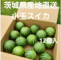 茨城県産 産地直送 小玉スイカ スウィートキッズ 3S 12個入のサムネイル