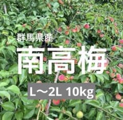 群馬県産 南高梅 L〜2Lサイズ 10キロ 農家直送 - メルカリ