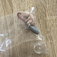 空とぶほうき　アルマジロトカゲのサムネイル