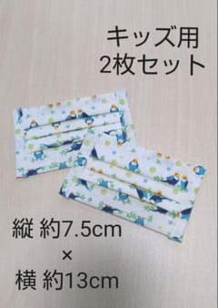 インナーマスク マスクカバー プリーツ(キッズ用2枚セット)のサムネイル