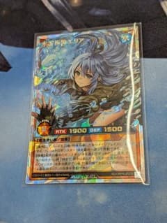 水霊術師　エリア　オーバーラッシュレアのサムネイル