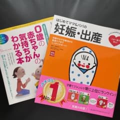 はじめてママ&パパの妊娠・出産 : 妊娠中の不安解消から産後ケアまでこの一冊で…のサムネイル