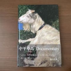 中平卓馬　Documentaryのサムネイル