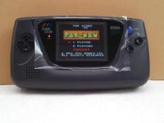 管ZGG086）ゲームギア本体(IPS液晶化、USB給電化)＋ソフト2本