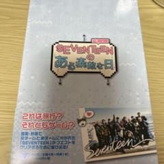 SEVENTEEN ある素敵な日 in JAPAN DVD セブチのサムネイル