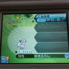 アローラロコン 夢理想のサムネイル