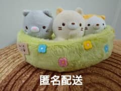 스미코구라시 네코 쿄다이 멀티 트레이 봉제인형