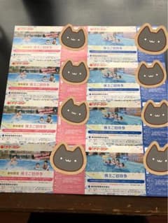 東京サマーランド株主優待券のサムネイル
