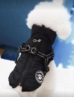 黒の犬服 ジッパー付き ハーネス付きのサムネイル