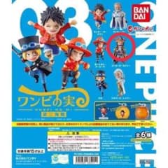 ワンピの実 第三海戦 ゴール・D・ロジャーのサムネイル