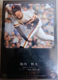 BBM 2015 堀内恒夫 JET BLACK 世界で25枚限定品のサムネイル