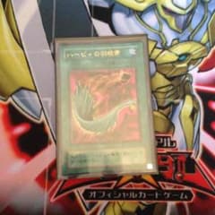 ハーピィの羽根箒のサムネイル