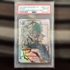 ベジットscrスーパーパラレル　psa10 ドラゴンボール FW ベジット SCR スーパーパラレル 烈火の闘気 PSA10