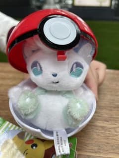 アローラロコンのサムネイル