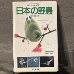 日本の野鳥のサムネイル