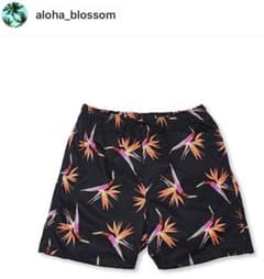 Aloha Blossomのサムネイル