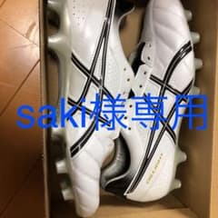 DS LIGHT slimのサムネイル