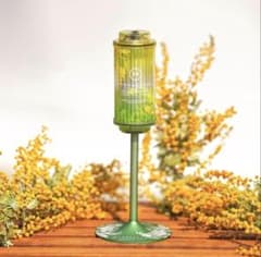 38explore 38-kT Mimosa Edition 2026 限定品 38explore 38-kT Mimosa Edition 2026 限定品 - メルカリ