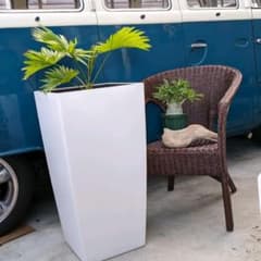 コラム40　植物鉢のサムネイル