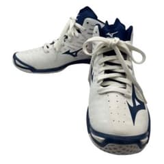 Mizuno Wave RealSuperlight Basketball Shoe, Men's 27