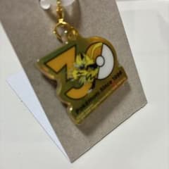 ポケモン ポケチャーム30周年ロゴマスコット ゼラオラのサムネイル