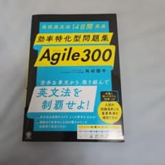 Agile 300 英作文問題集のサムネイル