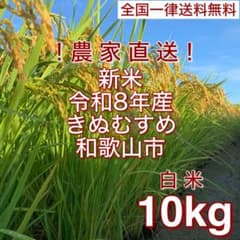 新米 令和8年和歌山産 きぬむすめ 精米済み10kgキロ★ 農家直送★のサムネイル