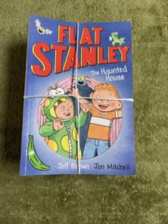 user_a5daa661 様専用　Flat Stanleyのサムネイル