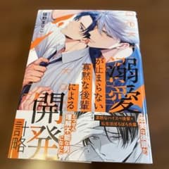 溺愛が止まらない寡黙な後輩による開発計略 猫野まりこのサムネイル