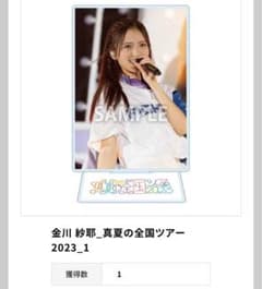 乃木コレ　アクリルスタンド　金川沙耶のサムネイル