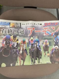 アーモンドアイ引退レース　翌日の新聞抜き取りなしのサムネイル