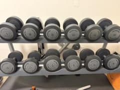 TECHNOGYM テクノジム ダンベルセット 12kg〜22kg（計12本美品 安いテクノジムダンベルセットの通販商品を比較 | ショッピング情報の