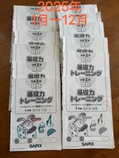 SAPIX 2025年小学3年 算数 基礎力トレーニング1月〜12月12冊セット