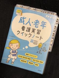 成人・老年看護実習クイックノートのサムネイル
