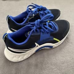 NIKEリニューリタリエーション　27.5センチのサムネイル