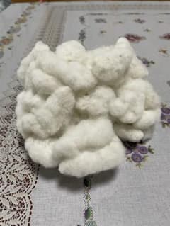 和綿コットン(種付き) 50g 令和7年産のサムネイル