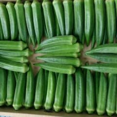 あーちんさん専用ページのサムネイル