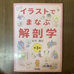 イラストでまなぶ解剖学のサムネイル